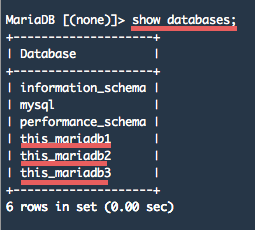 Mariadb show databases