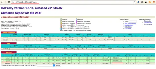 HAProxy Statstics