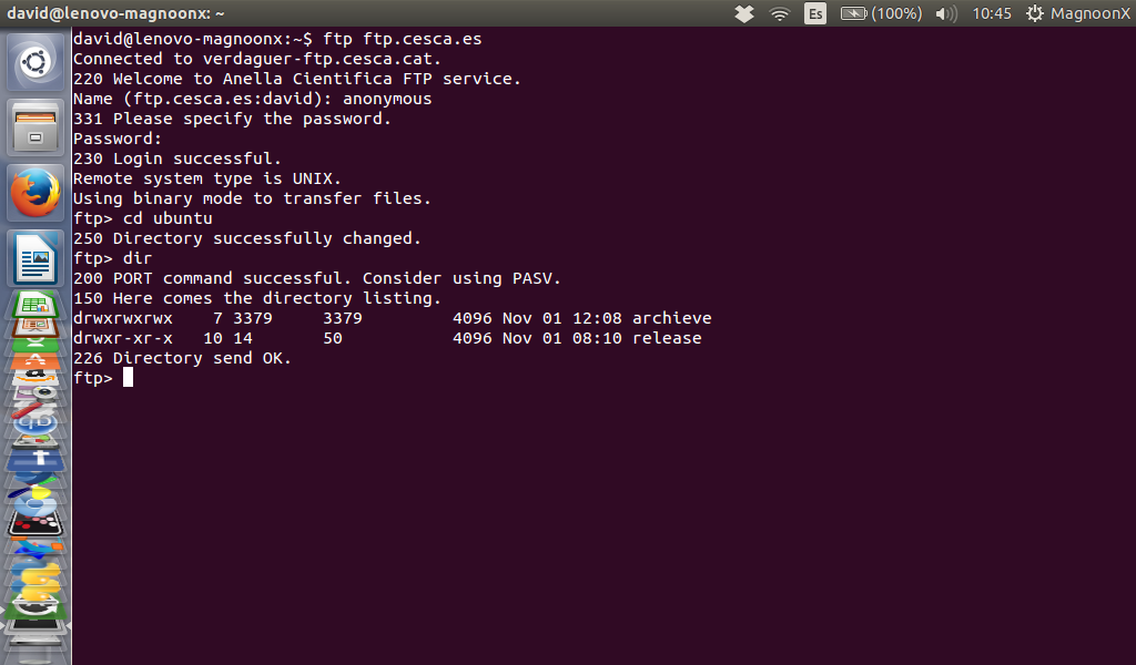 linux ftp command line example