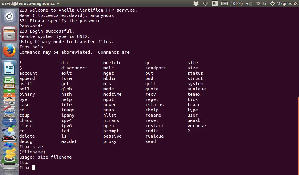 linux ftp upload command line