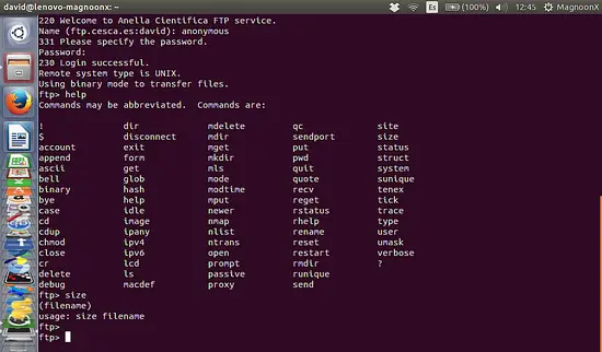 List all FTP commands