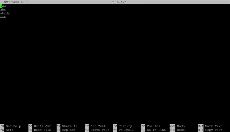 Open a file in nano