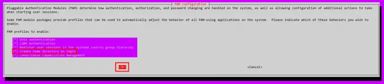 enable pam module for automatically create home directory