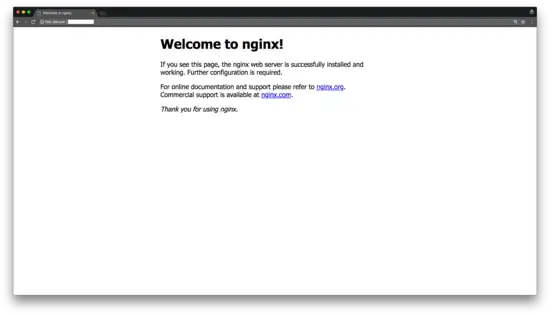 Nginx welcome page