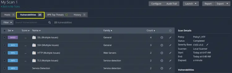 Viewing the Vulnerability Tab