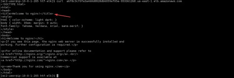 access your nginx application