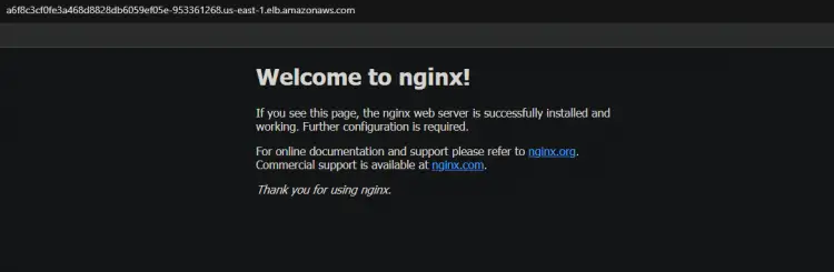  access your nginx application through the browser 