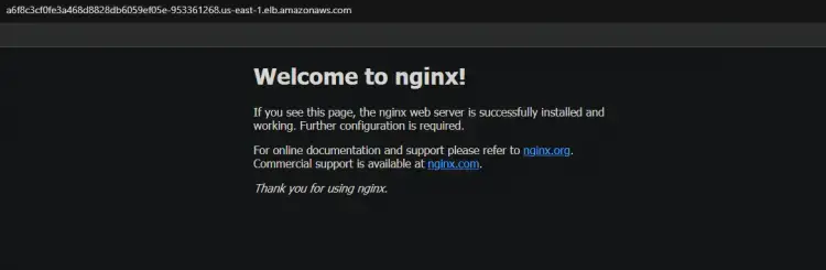 access your nginx application through the browser