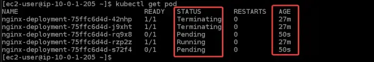Checking the status of your pods