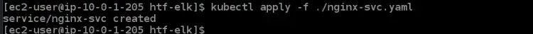 create the nginx service