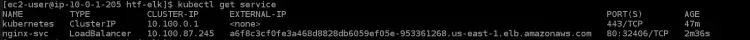 get the details about the nginx service
