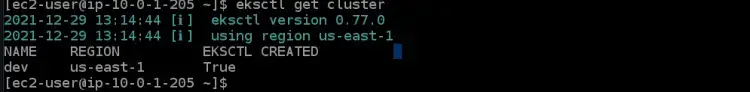 get the details of the dev cluster