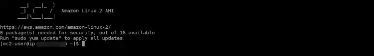 interactive SSH session