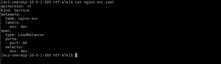 open the service file