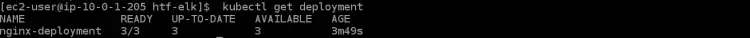 get the details about the nginx deployment