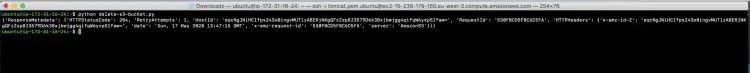 Run delete bucket script