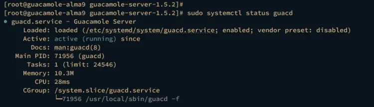 verify guacd service