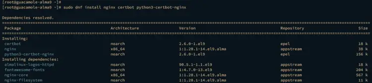 install nginx certbot