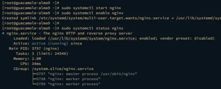 start enable verify nginx