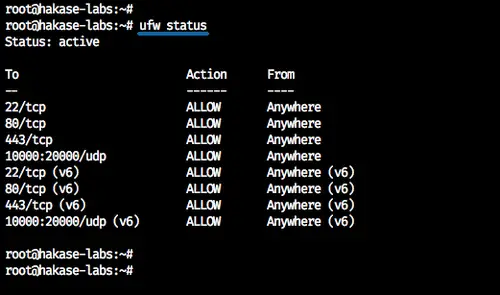 Check Firewall status