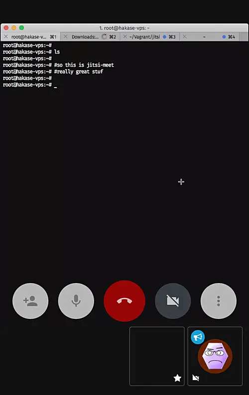 Jitsi Jitsi