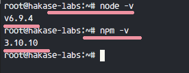 Check the node.js version