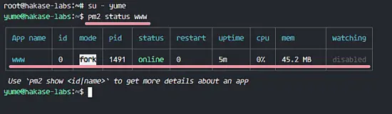 nodejs running at the booti time with pm2