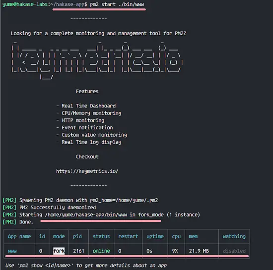 Running nodejs app with pm2