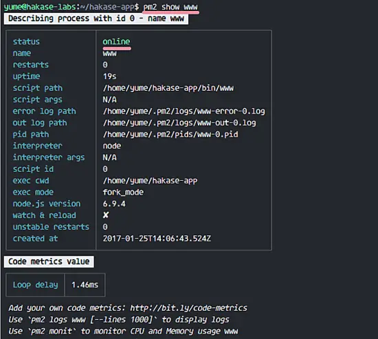 pm2 service status