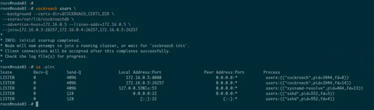 Start CockroachDB Secure Cluster