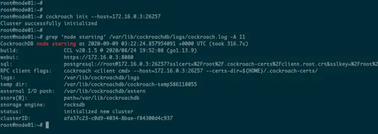 CockroachDB Cluster Initialization