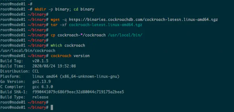 Download and Install CockroachDB Binary