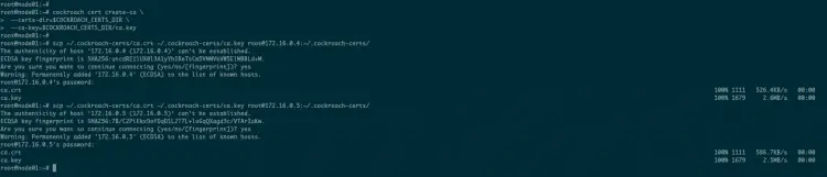 Generate CA Certificate and Copy to Other Nodes