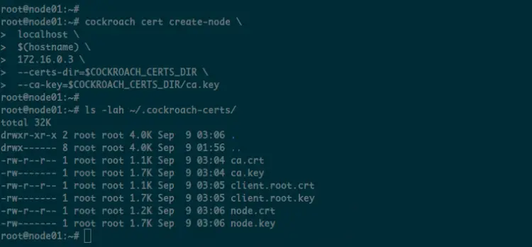 Generate Certificate for node01