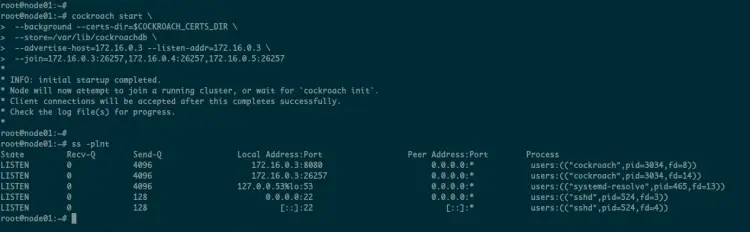 Start CockroachDB Secure Cluster