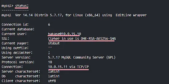 Remote Connection with SSL on MySQL