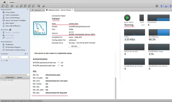 MySQLWorkbench Connected with SSL