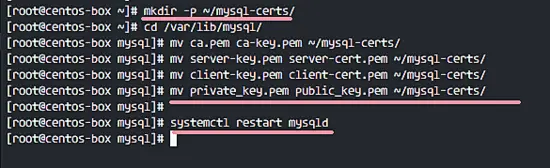 Backup Default MySQL Certificates to New Backup Directory