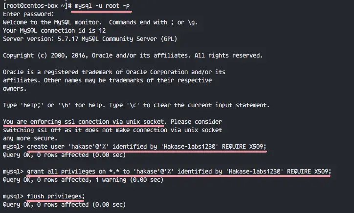 Check If Mysql Is Running On Centos Sale Online | emergencydentistry.com