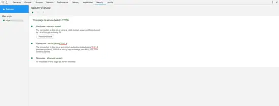 Check TLS version in Browser