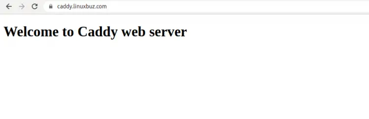 Caddy web server