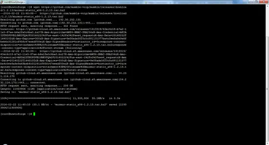 Downloading Mumble with wget.