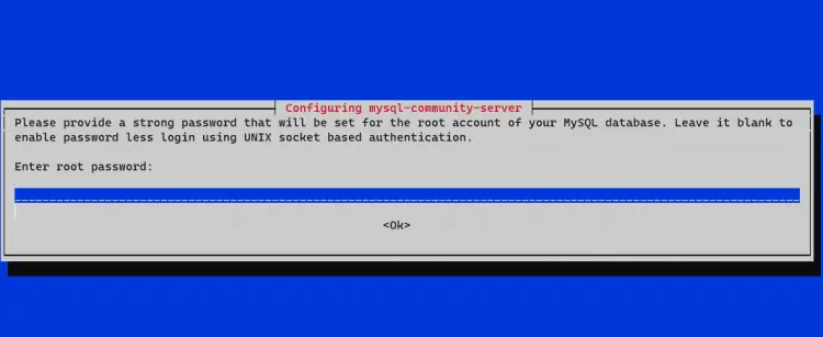 MySQL Root Password Setup