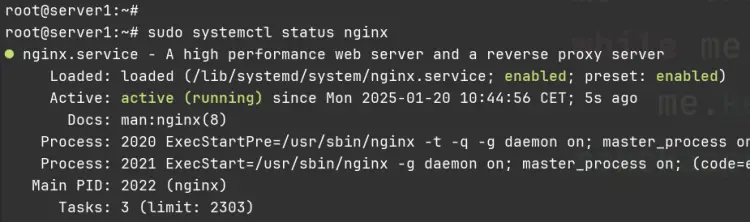 check nginx