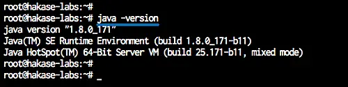 Install Java OpenJDK