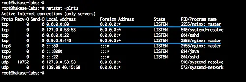 Check nginx port
