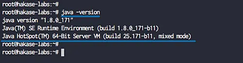 Install Java on Ubuntu