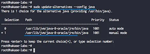 Configure Java Environment