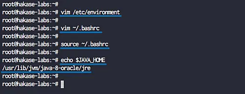 Setup Java environment