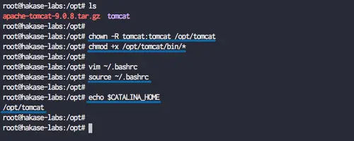 Setup Tomcat